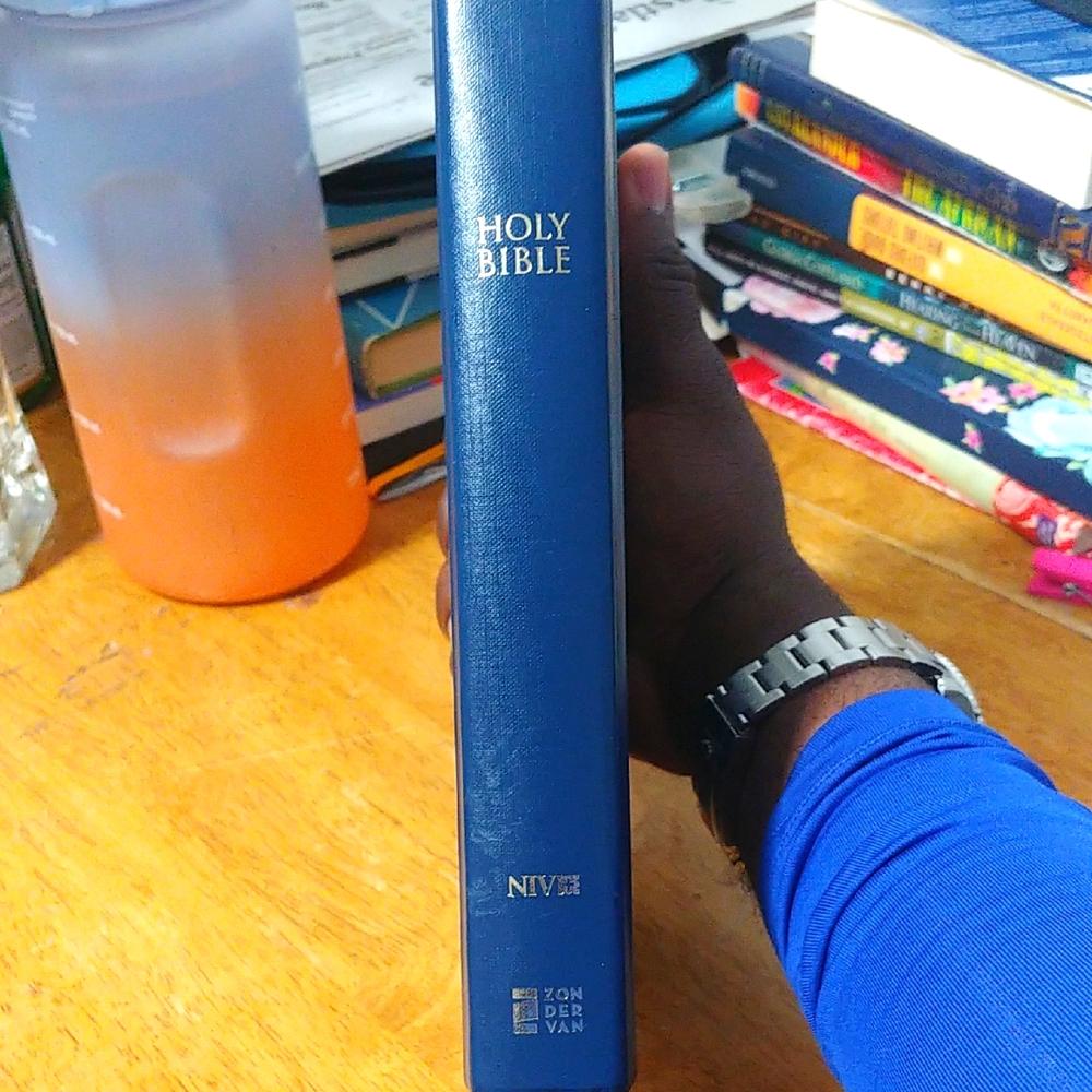 Blue NIV Holy Bible